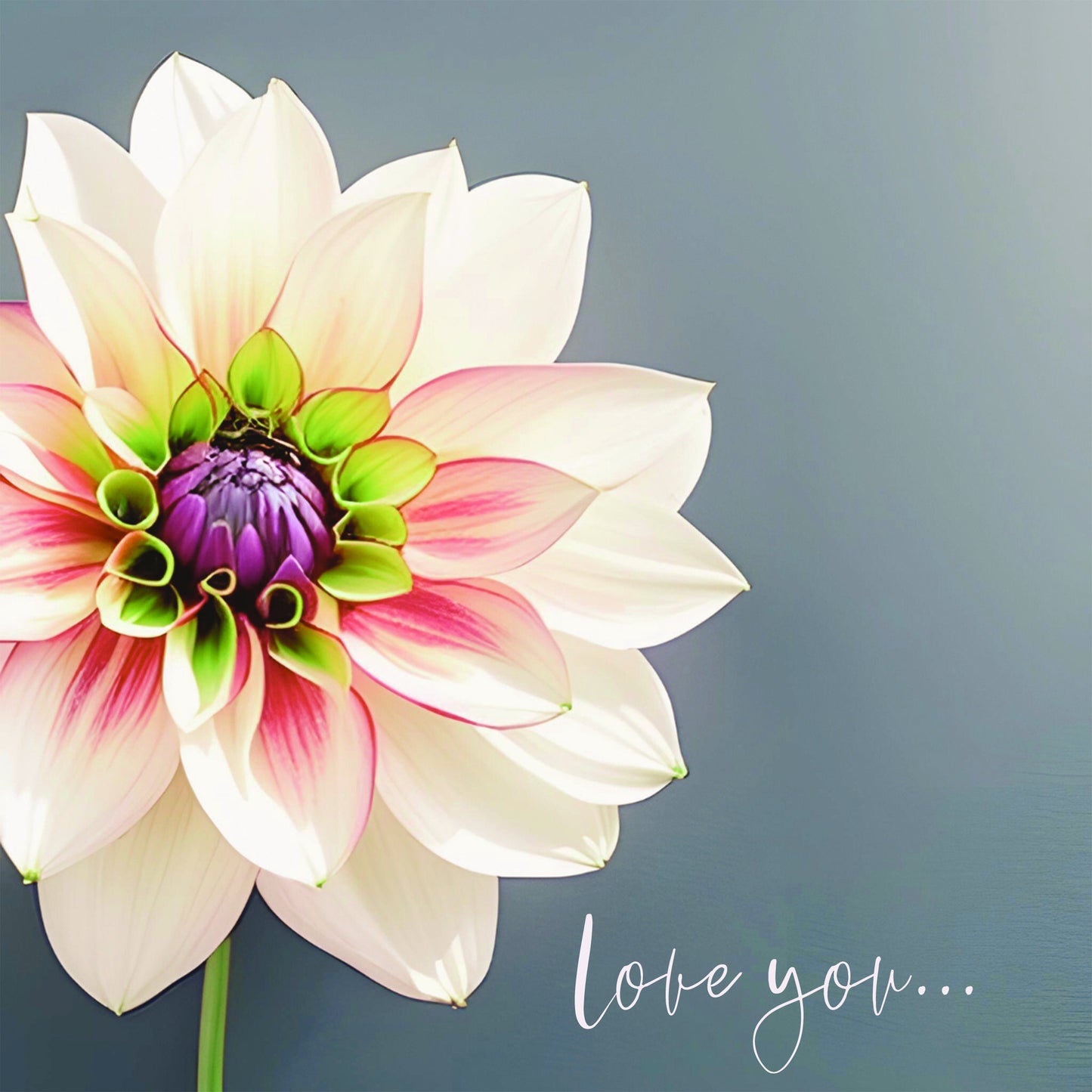 Printable Dahlia Picture, Wall Art Dahlia Gift  Dear Dahlia Darling Dahlias  Gift for Gardener Downloadable Dahlia Wall Art